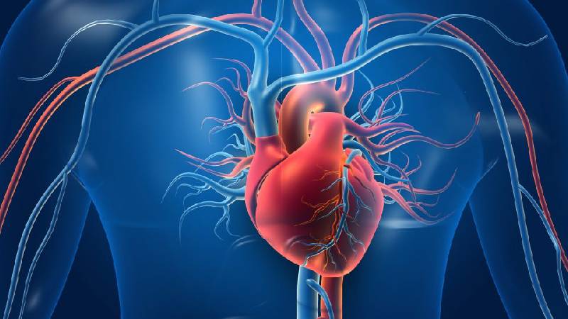 Cardio Health Service