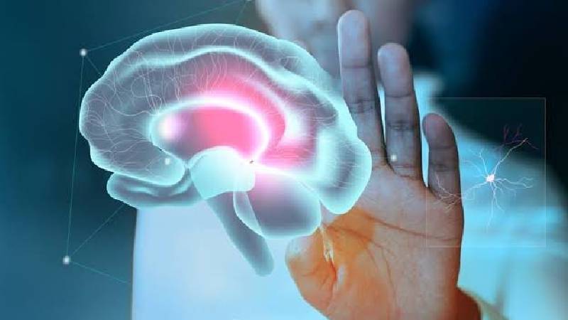 Memory and Neuro Health Service